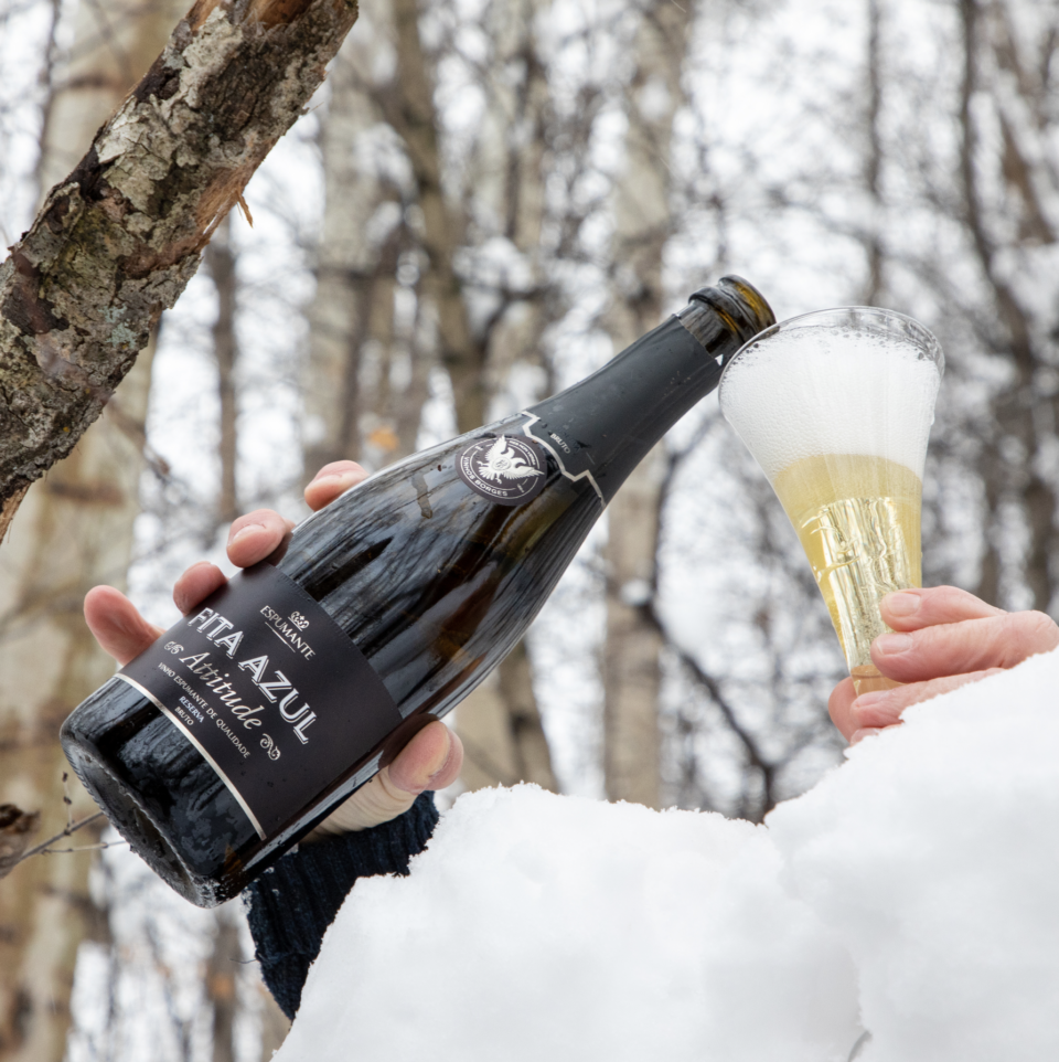 Capture d’écran, le 2022-08-23 à 18.44.38